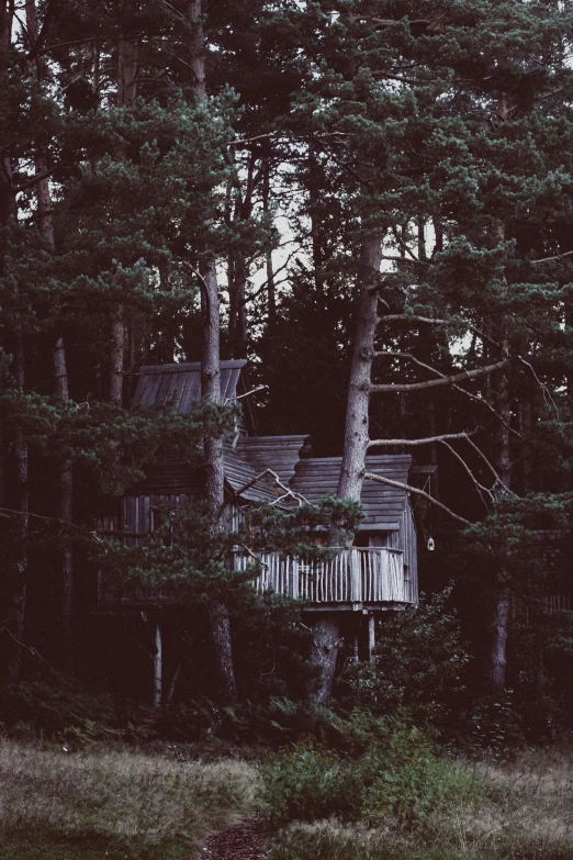 an old tree house with two stories between trees