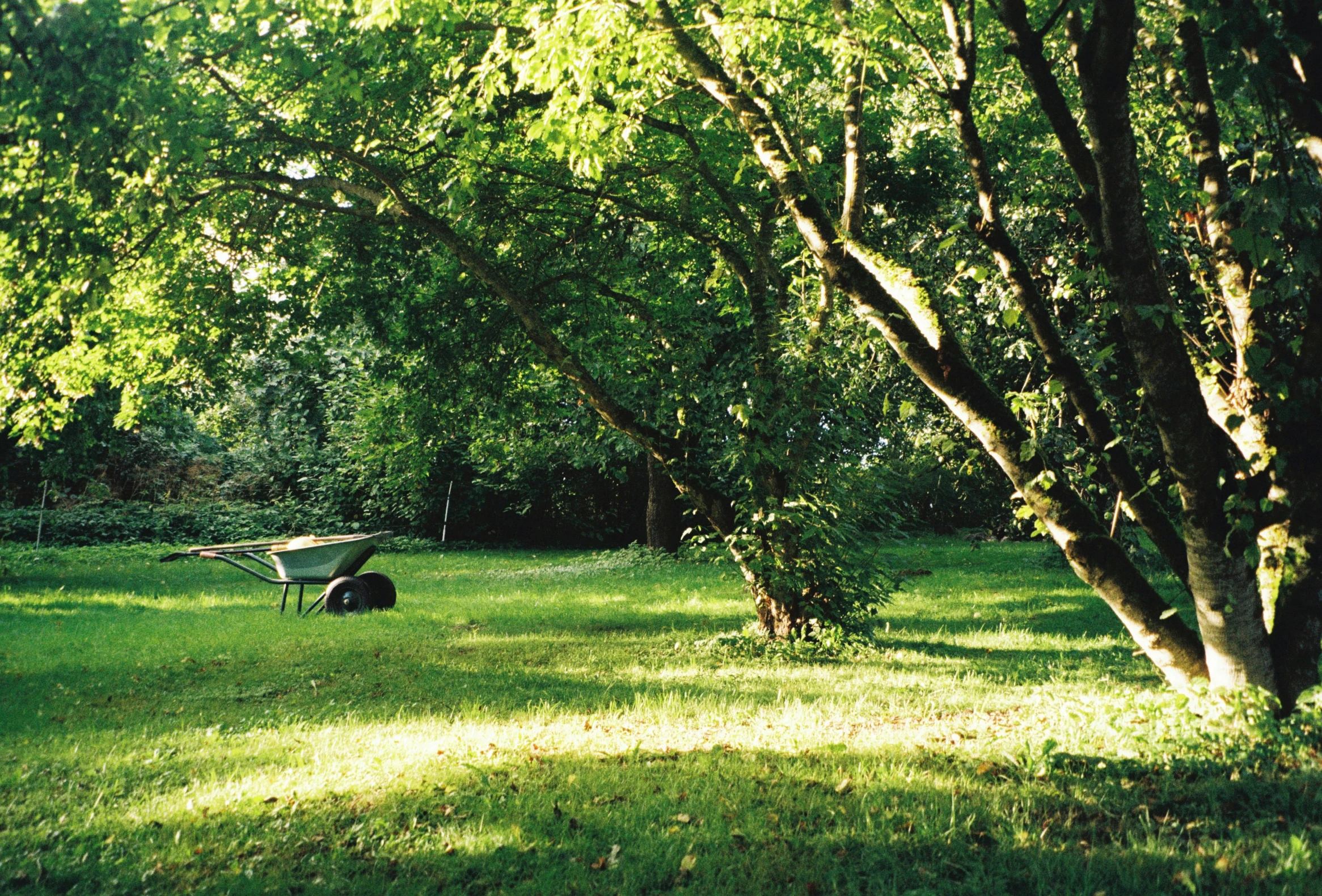 a garden with trees and grass, a hammock chair, a bench, and two children