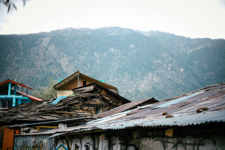 two houses next to each other with a forest in the background