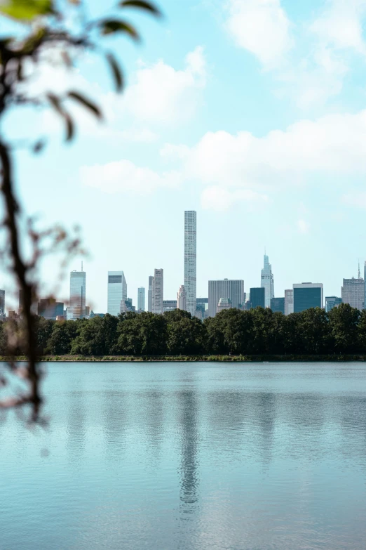 a city in the distance sits beyond the trees