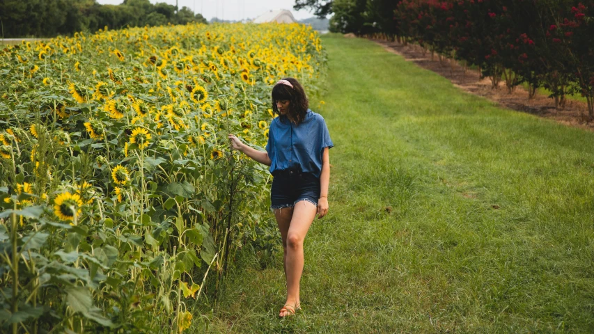 the young lady is walking through a sunflower field