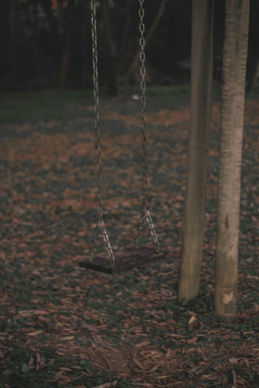 a swing in the grass near a tree