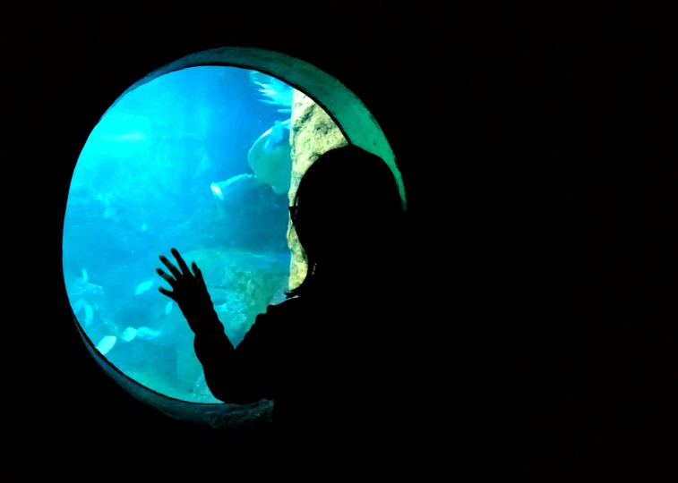 a person with a hand up standing in front of an aquarium window