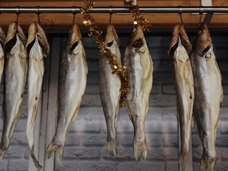 various kinds of fish hanging from hooks in a store