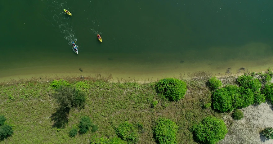 several canoes in an open area next to some trees