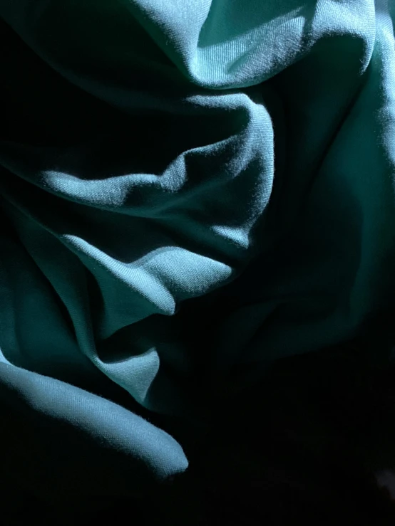 the image shows a very dark po of a fabric