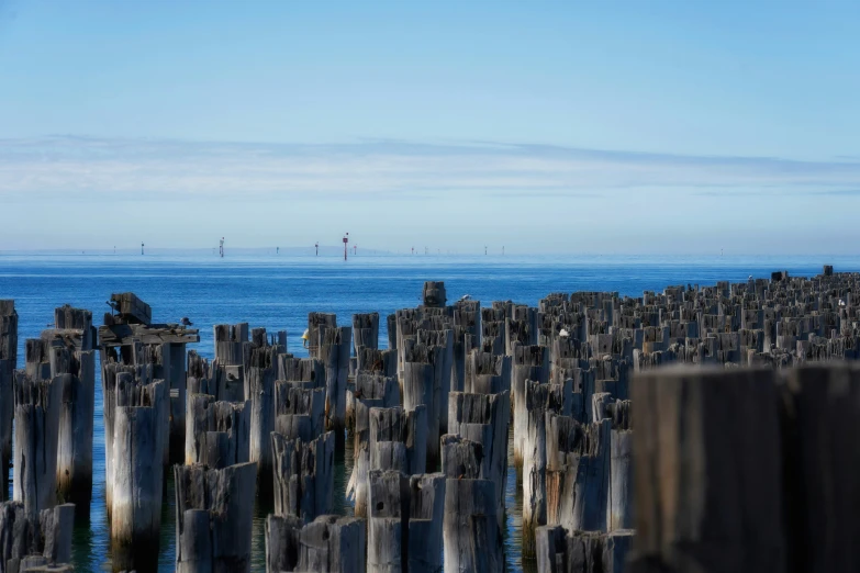 many posts in water with a boat behind them