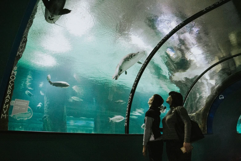 two people standing in front of an aquarium looking at some fish