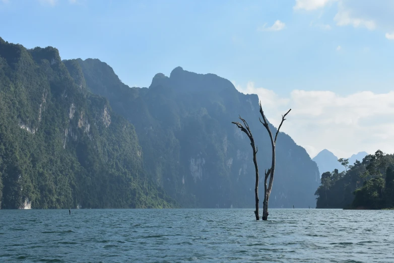 a body of water near a cliff with trees in it