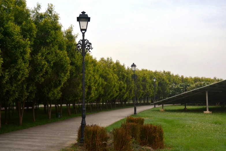 street light on a walkway next to a path through trees