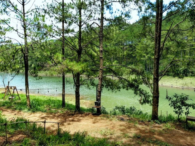 a scenic view of a lake and trees