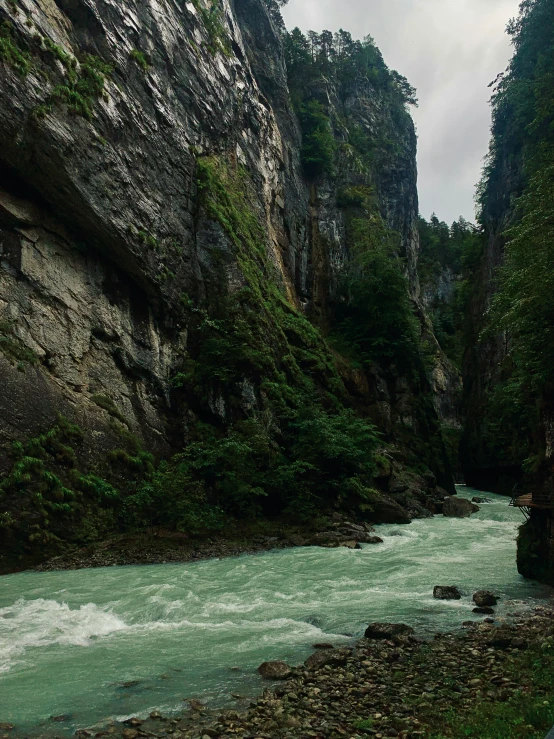 river with a few white rocks running through it