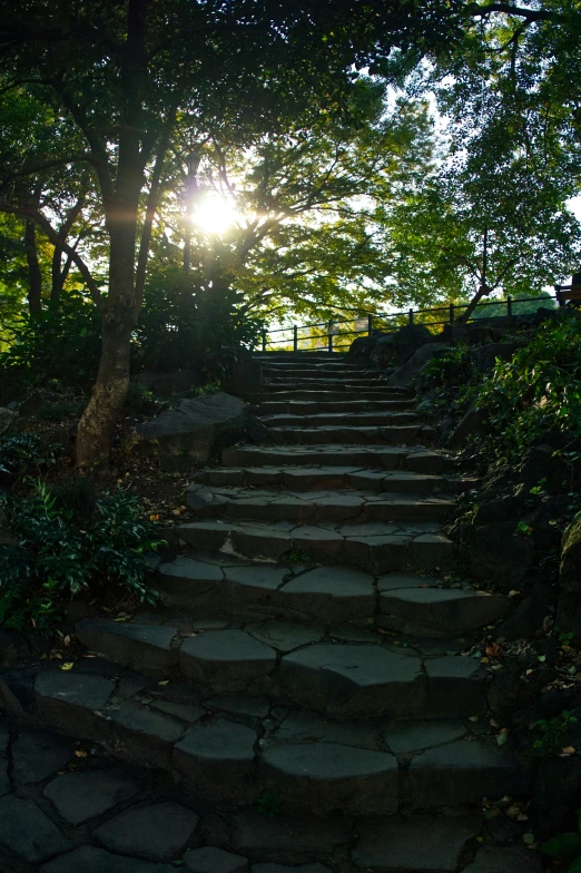 this is a path through some green trees