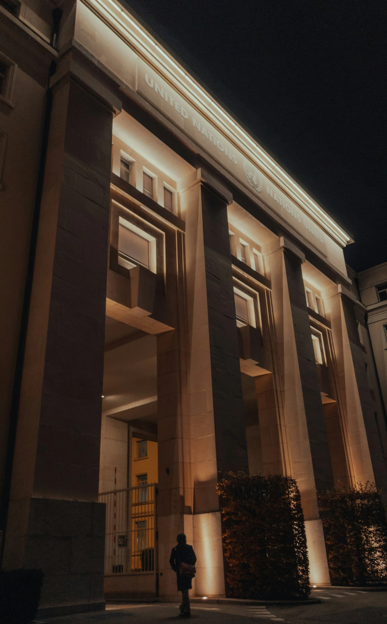 night time pograph of an architectural building with illuminated pillars