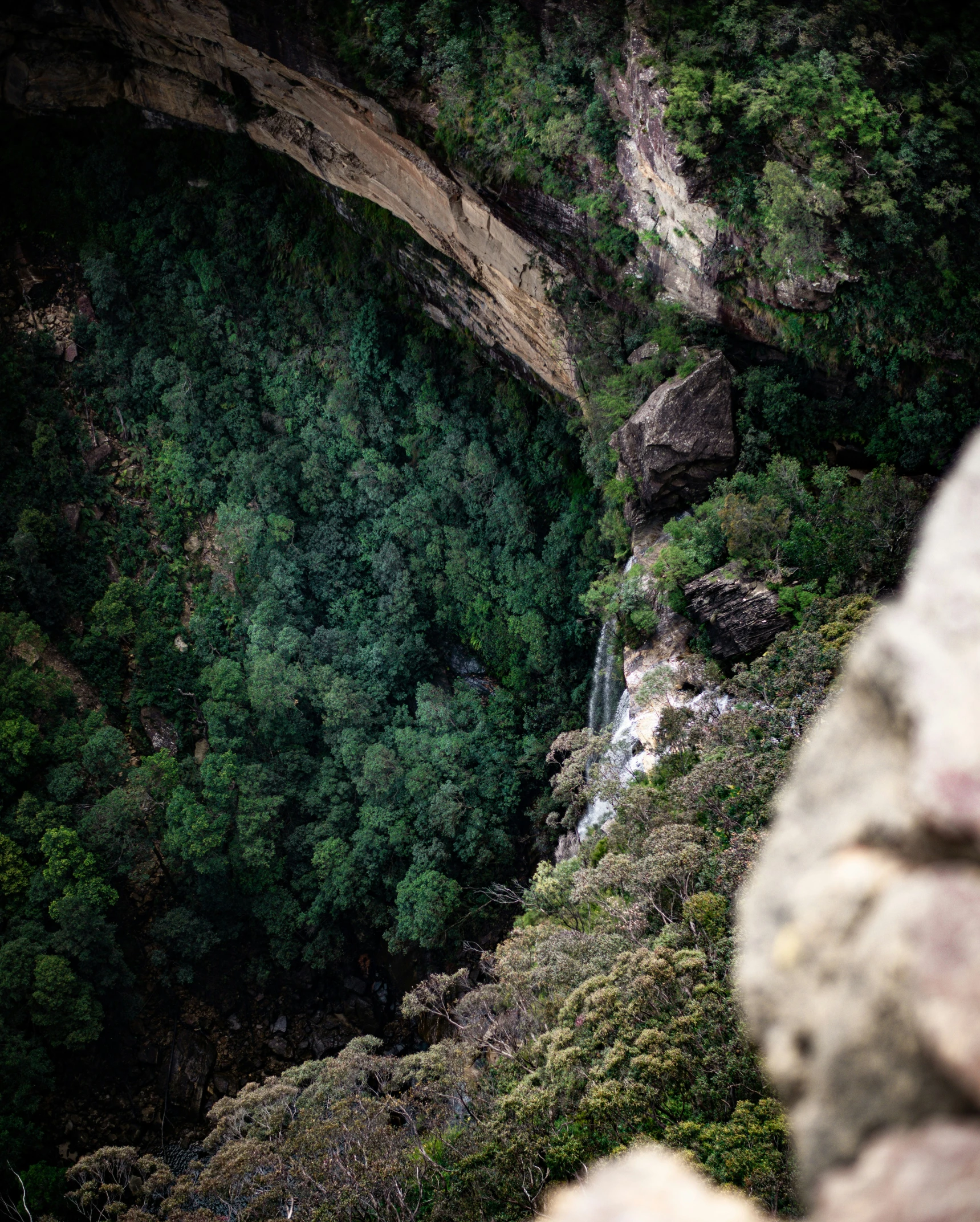 a lush green valley on the side of a cliff