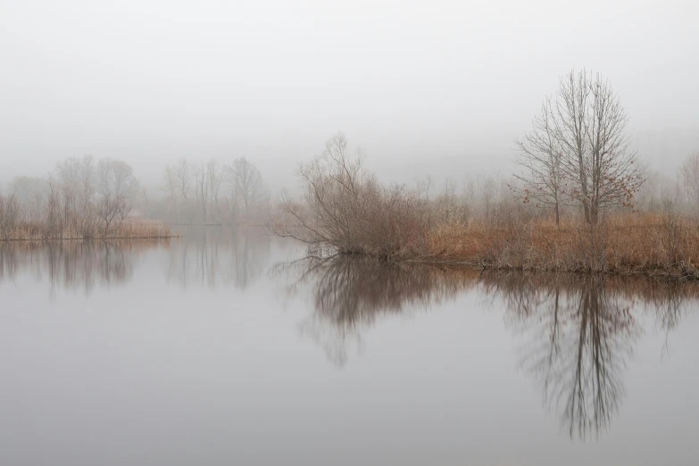 foggy weather with small trees along a large lake