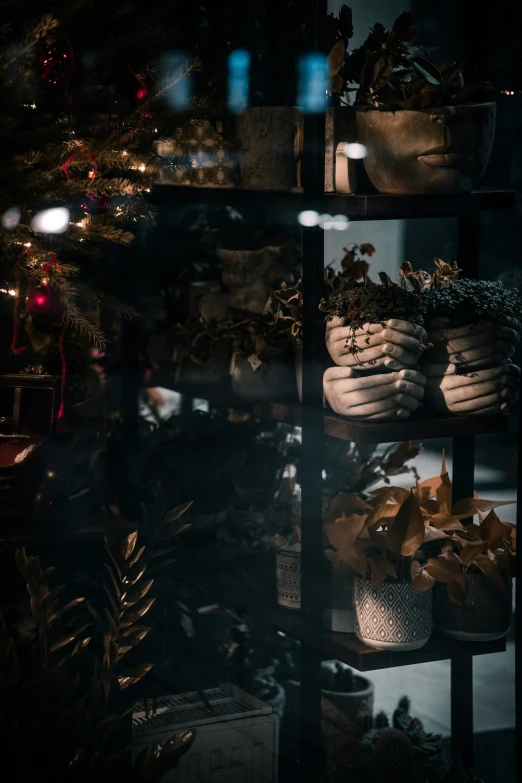 plants and other items are sitting on a shelf in a dark room