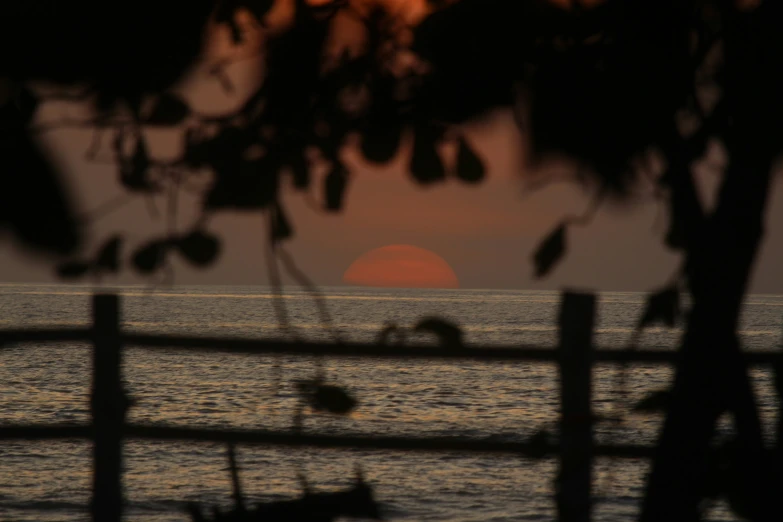 a sunset in the background, with some water and some trees