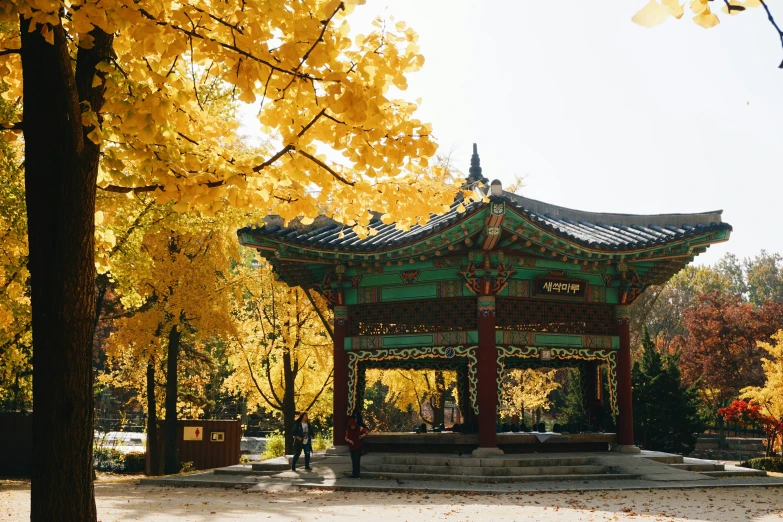 a tall pagoda structure surrounded by yellow leaves