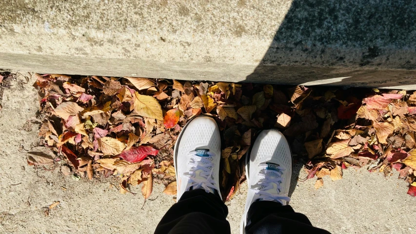 a persons feet in sneakers standing next to leaves