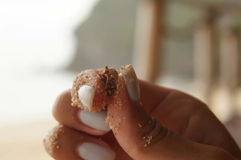 a hand holding a dessert on it's fingers