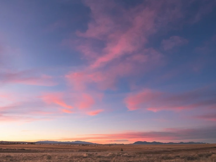 a lonely horse grazing on an open plain