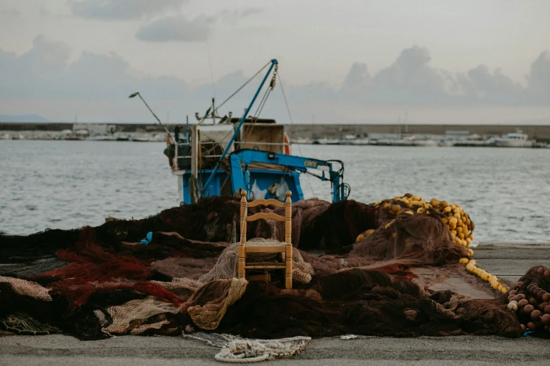 a boat is docked on the beach with several seaweed