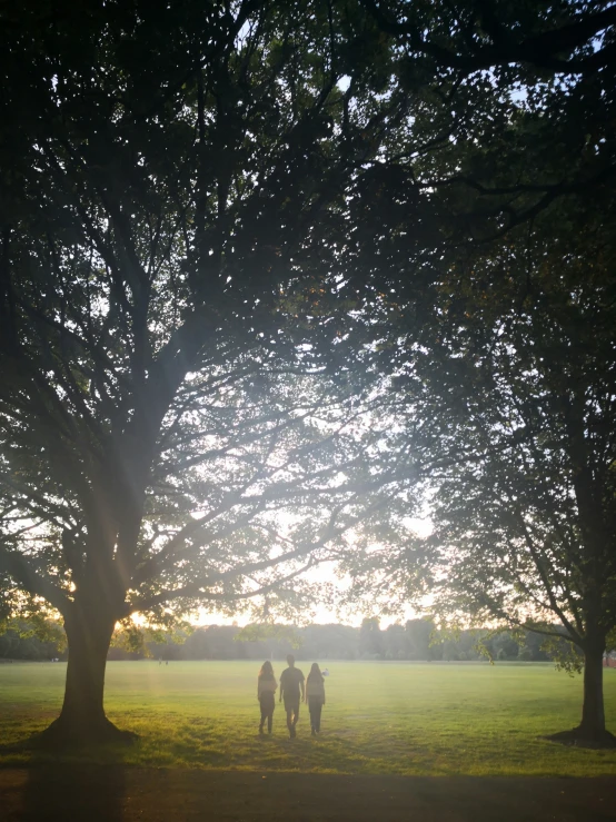 silhouettes of three people walking through a grassy park