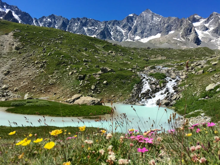 some hills and flowers with a body of water