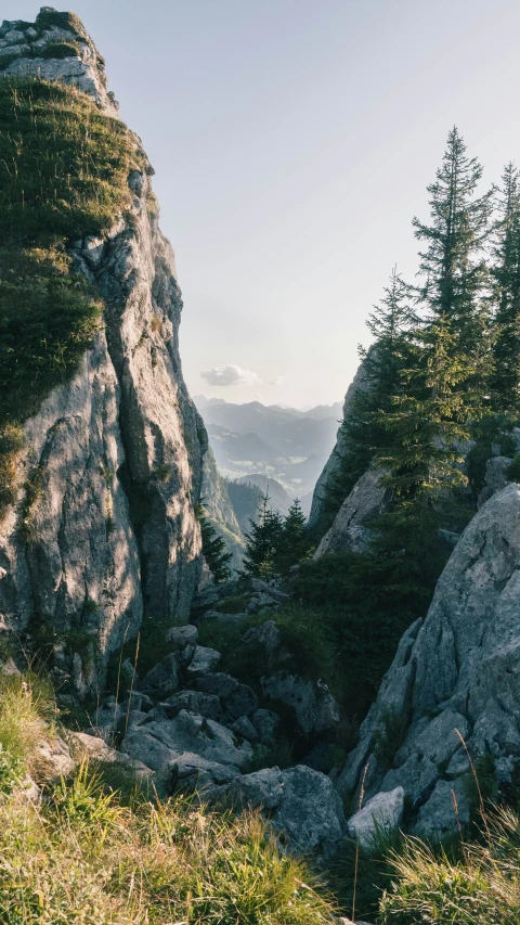 a mountain peak near some trees with no leaves