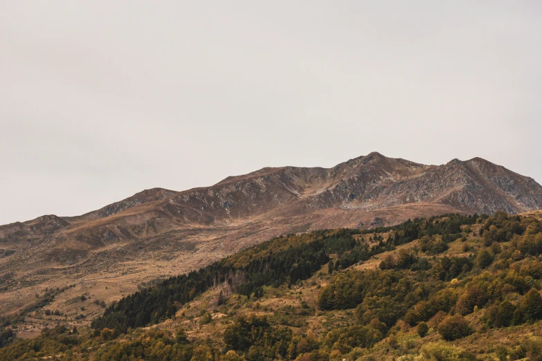 a mountain with some green and brown trees