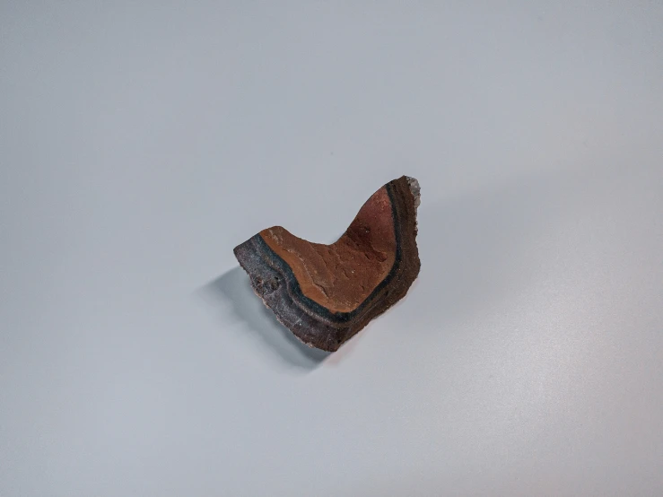 a brown shoe laying on a white floor