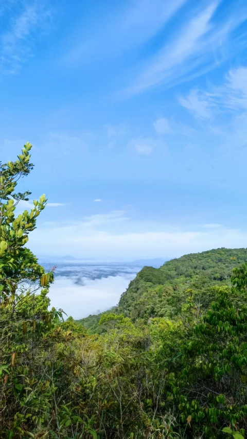 clouds, trees, and a large body of water are seen in the distance