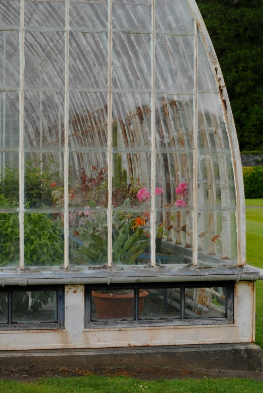 a window that is next to some flowers