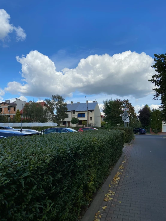 a large hedge lined sidewalk and car parking lot