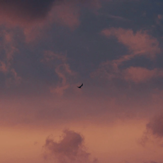 a plane in the sky at dusk time