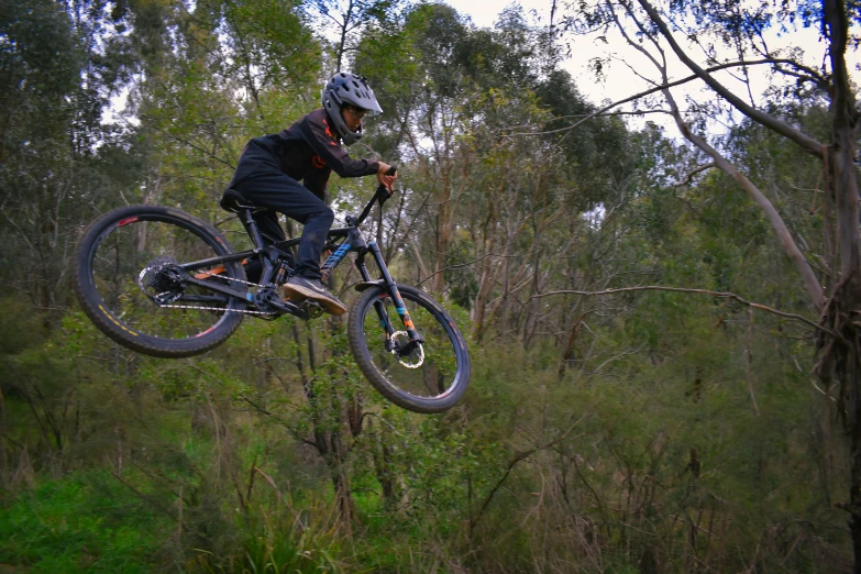 man on bike jumping high over trees and shrubs