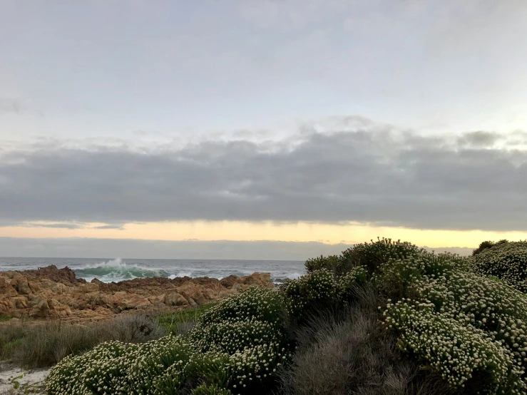 a bench sitting on the beach near a grassy shoreline