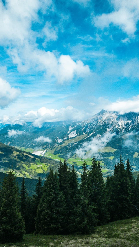 some mountains are shown with clouds and pine trees