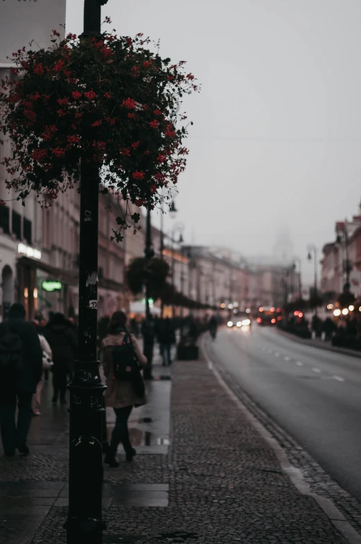 a black street lamp sitting in the middle of a city