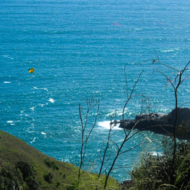 a man is in the distance looking at the water