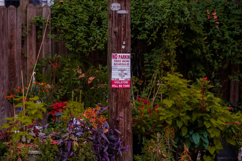 a red sign is on the pole next to a garden