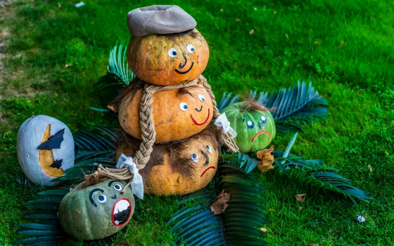 several different pumpkins on a grass field with leaves
