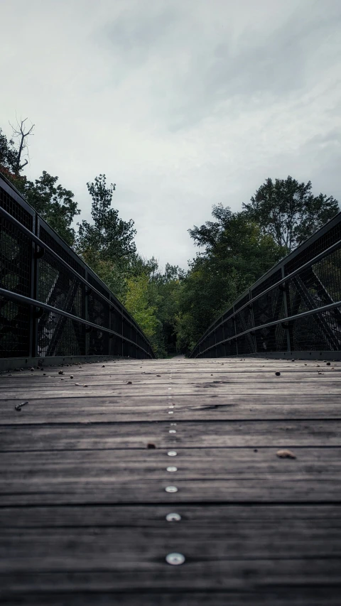 an empty wood floor sitting underneath trees