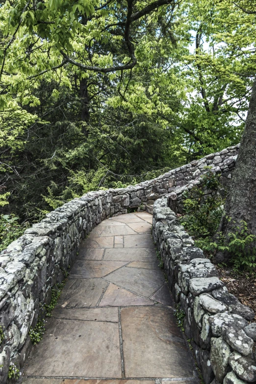 stone pathway leads up a hill in the woods