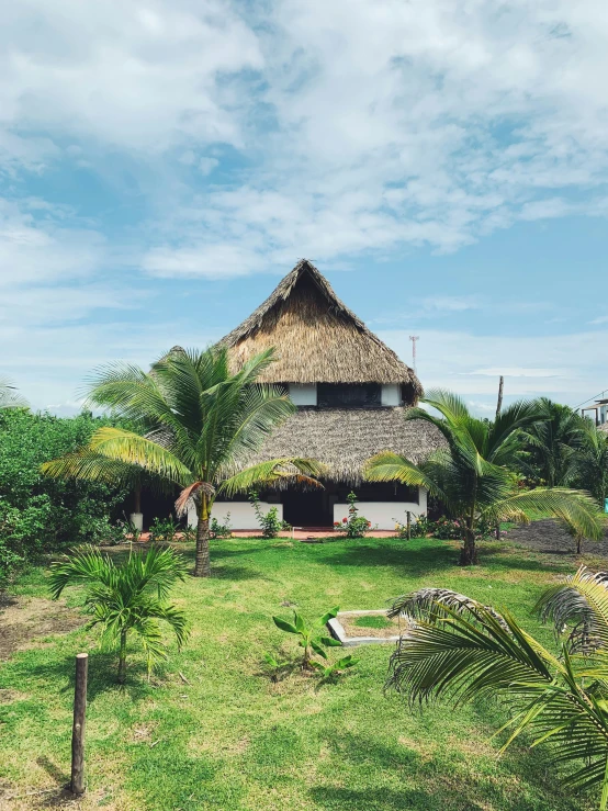 an old house with palm trees and grass in front