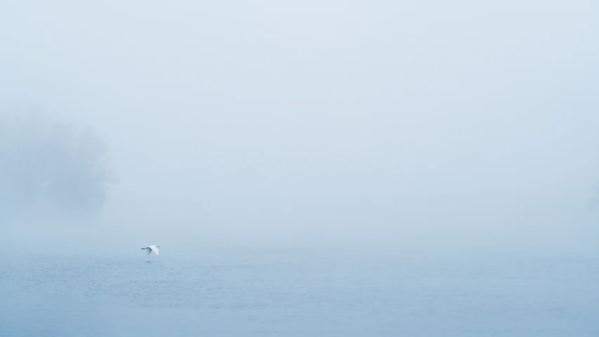 a white boat floating in a body of water