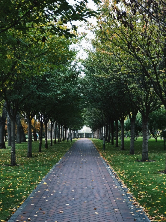 a brick pathway lined with trees leading to a bench in the middle of a grassy park