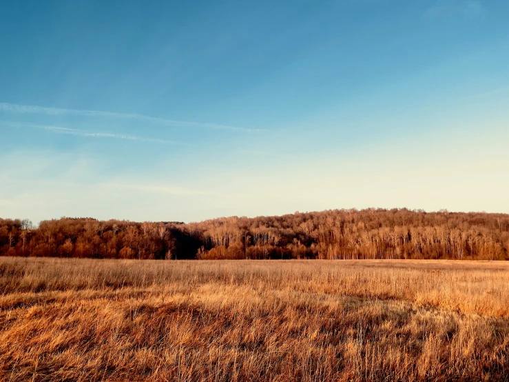 a dry grass field next to some mountains