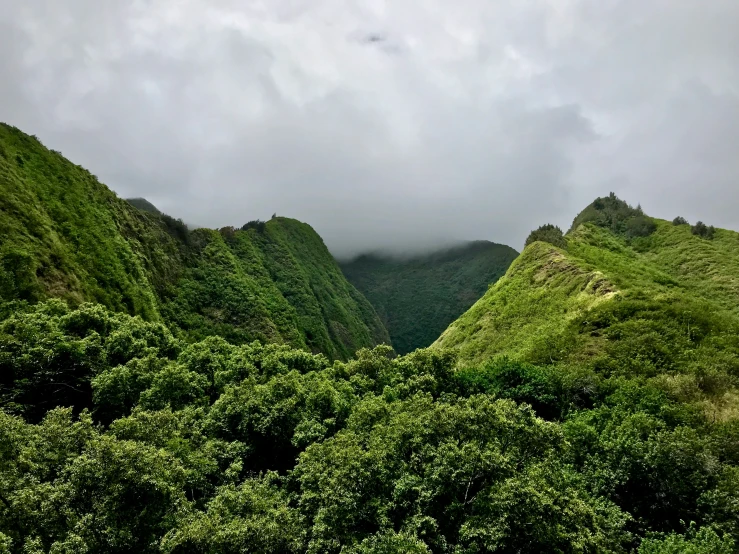 some mountain and trees near by and an ocean